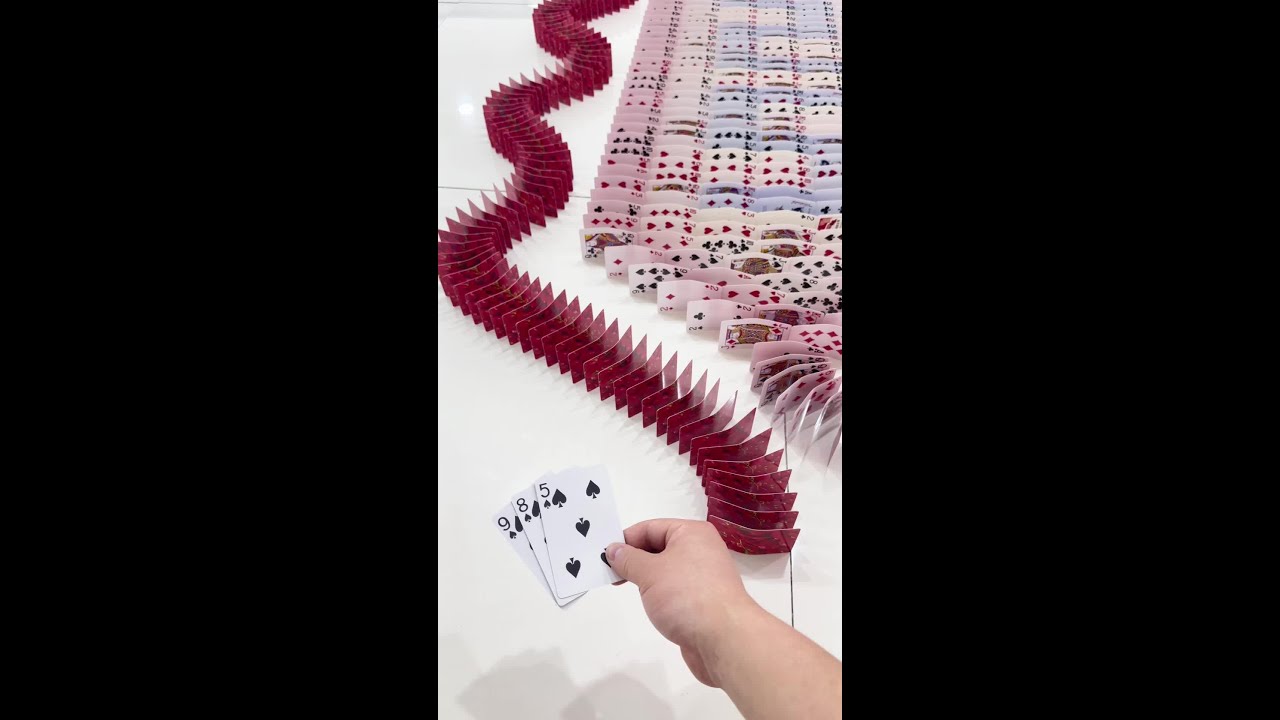 More than 10,000 dominoes made of cards #domino #shorts #2025
