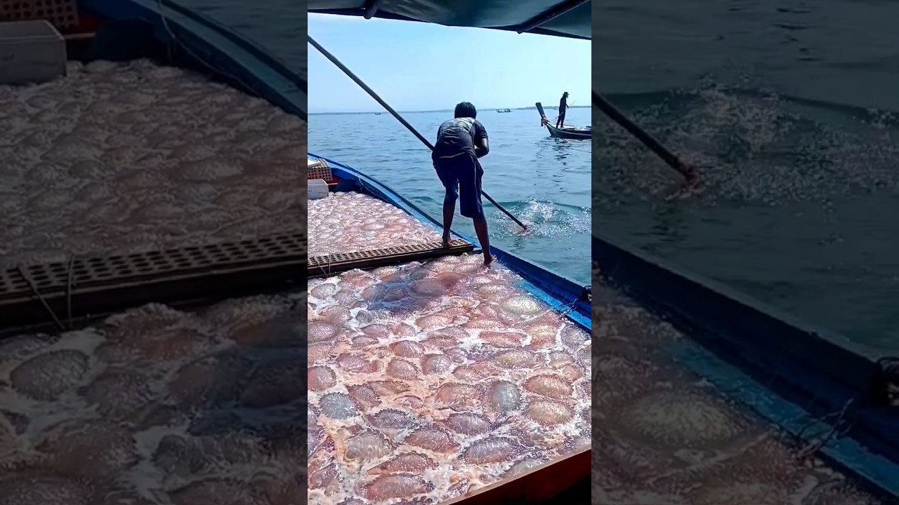 World Most Dangerous Jobs #shortvideo