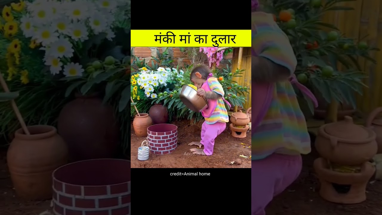 मंकी मां का दुलार | Amazing videos in hindi #shorts